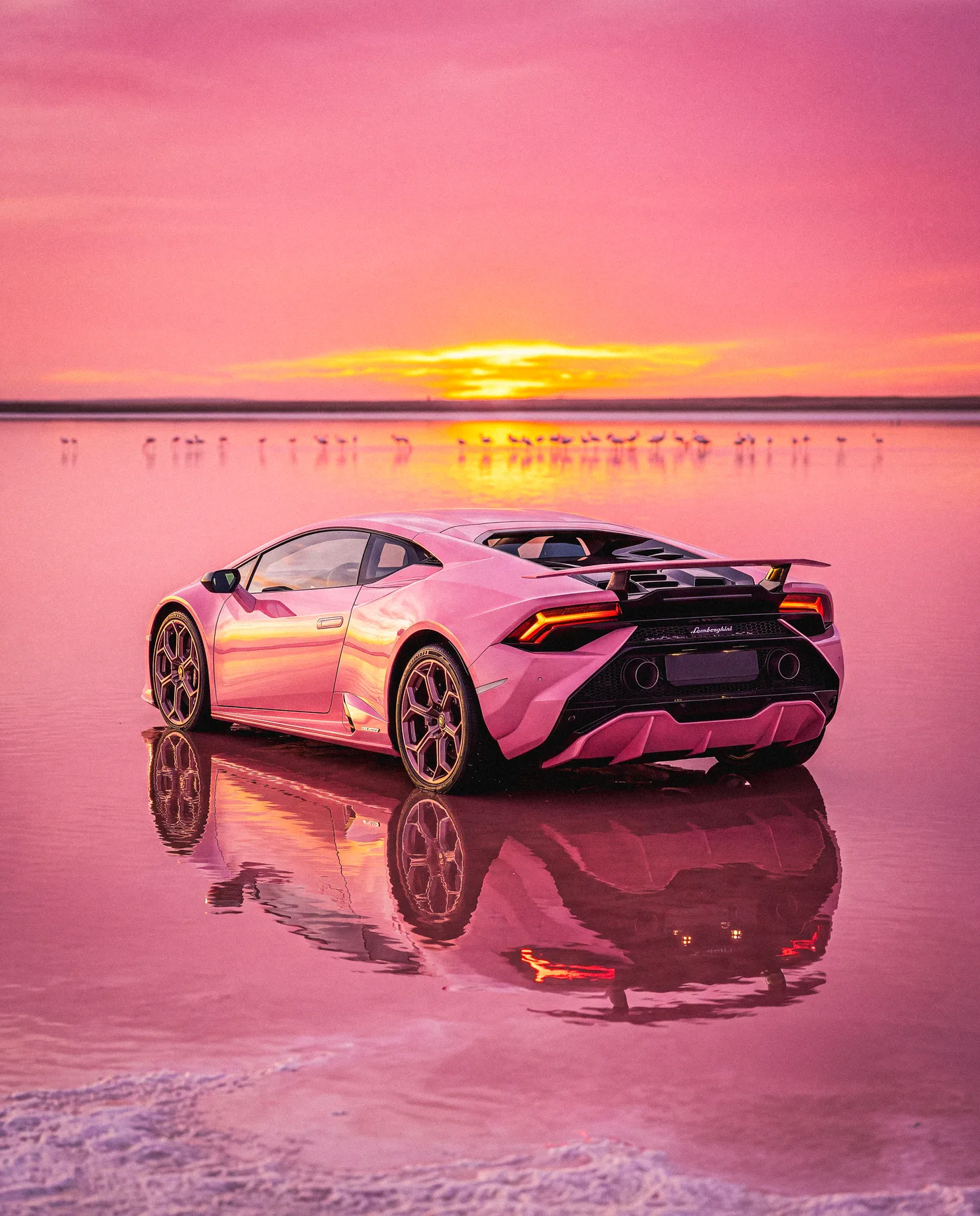 Flamingo Pink 2