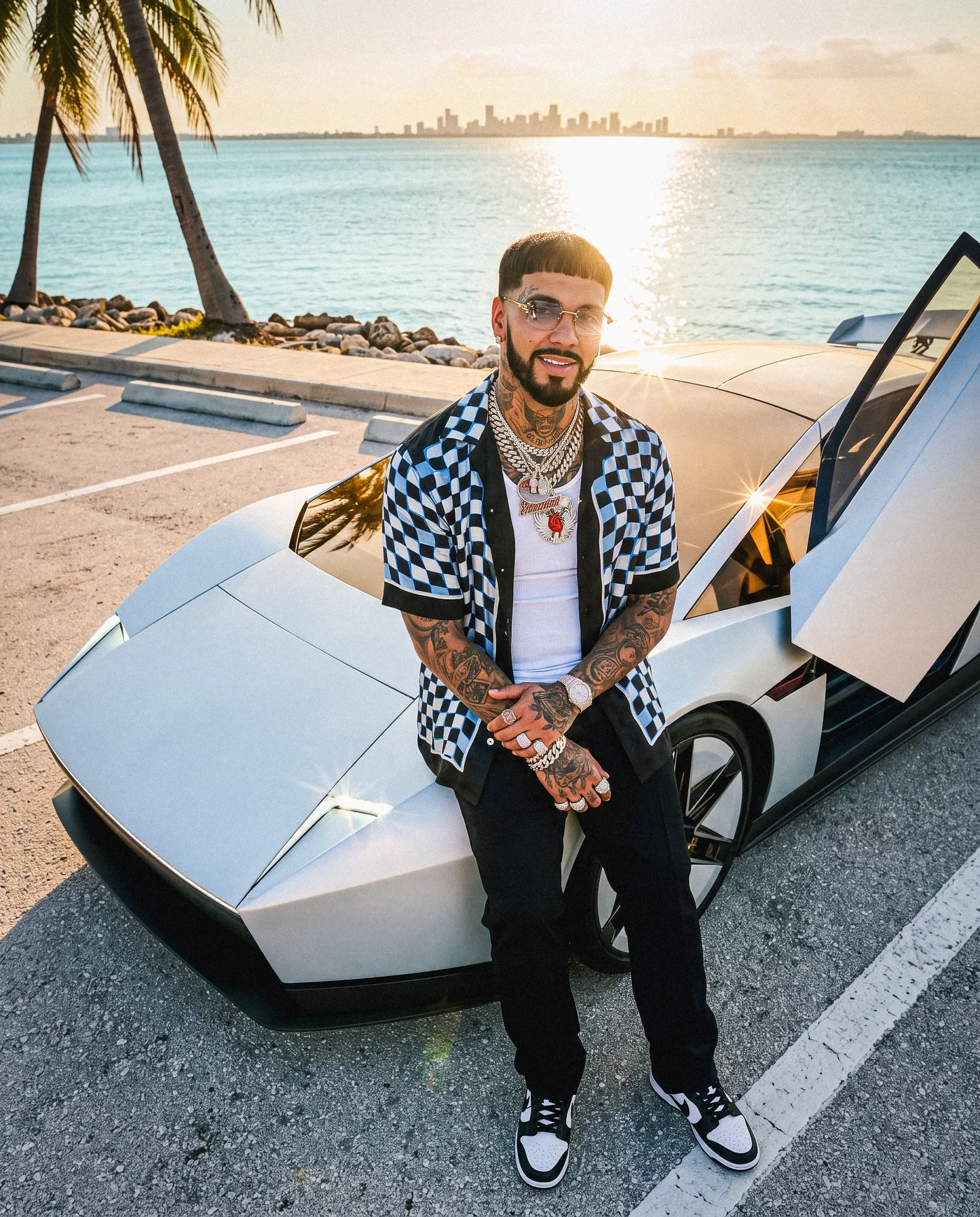 Tesla Roadster 1