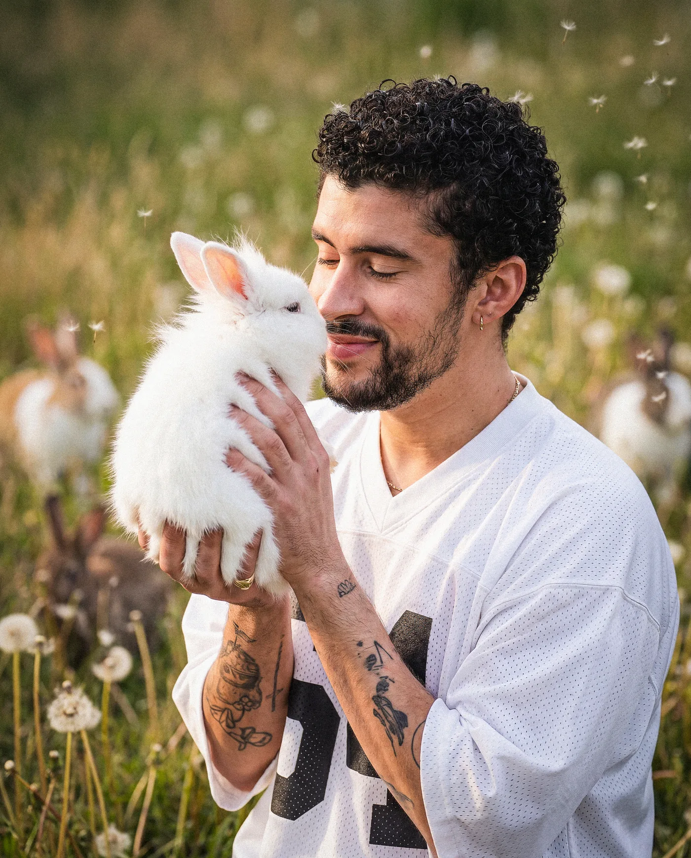 Bad Bunny Bunnies 3