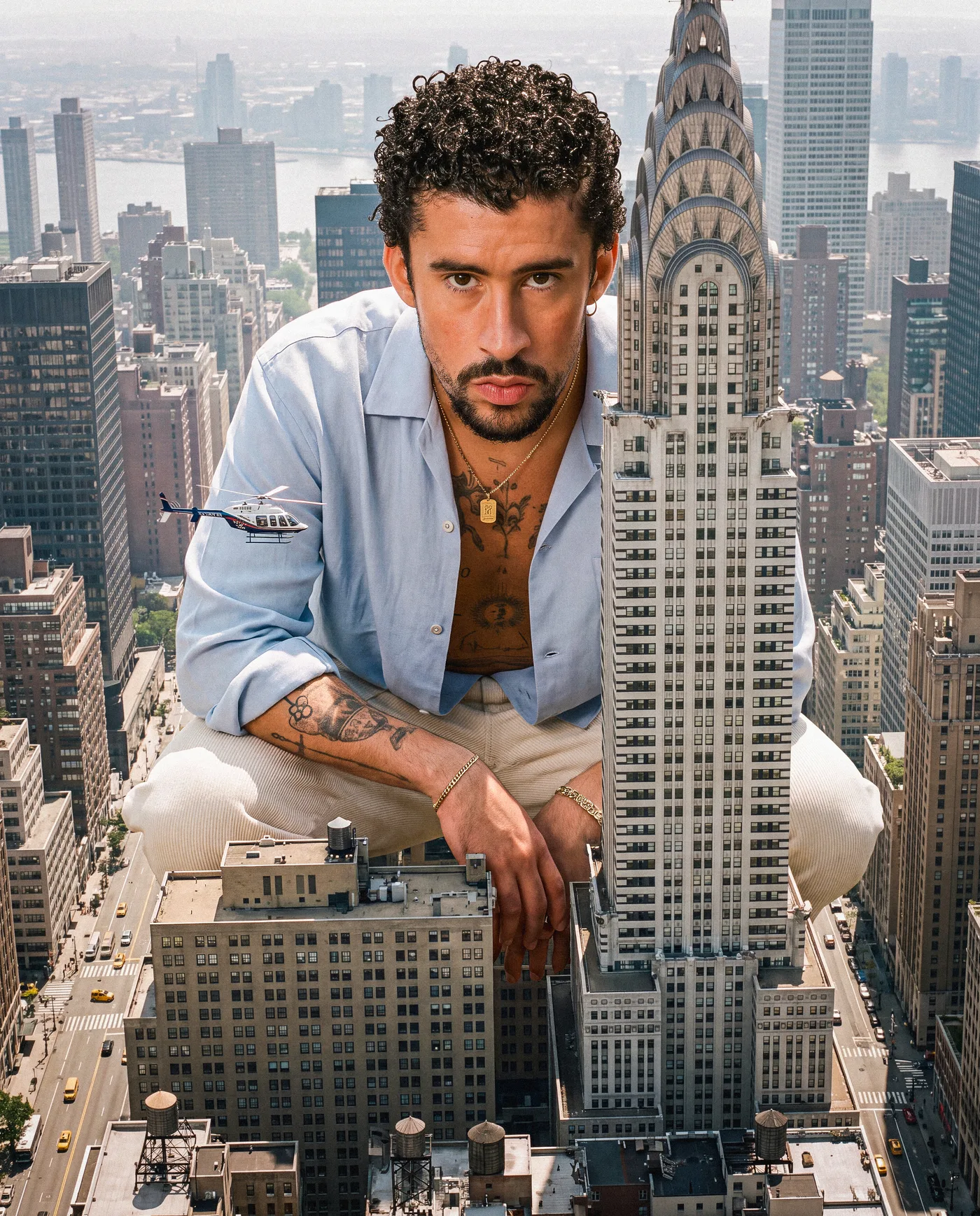New York Giant 2