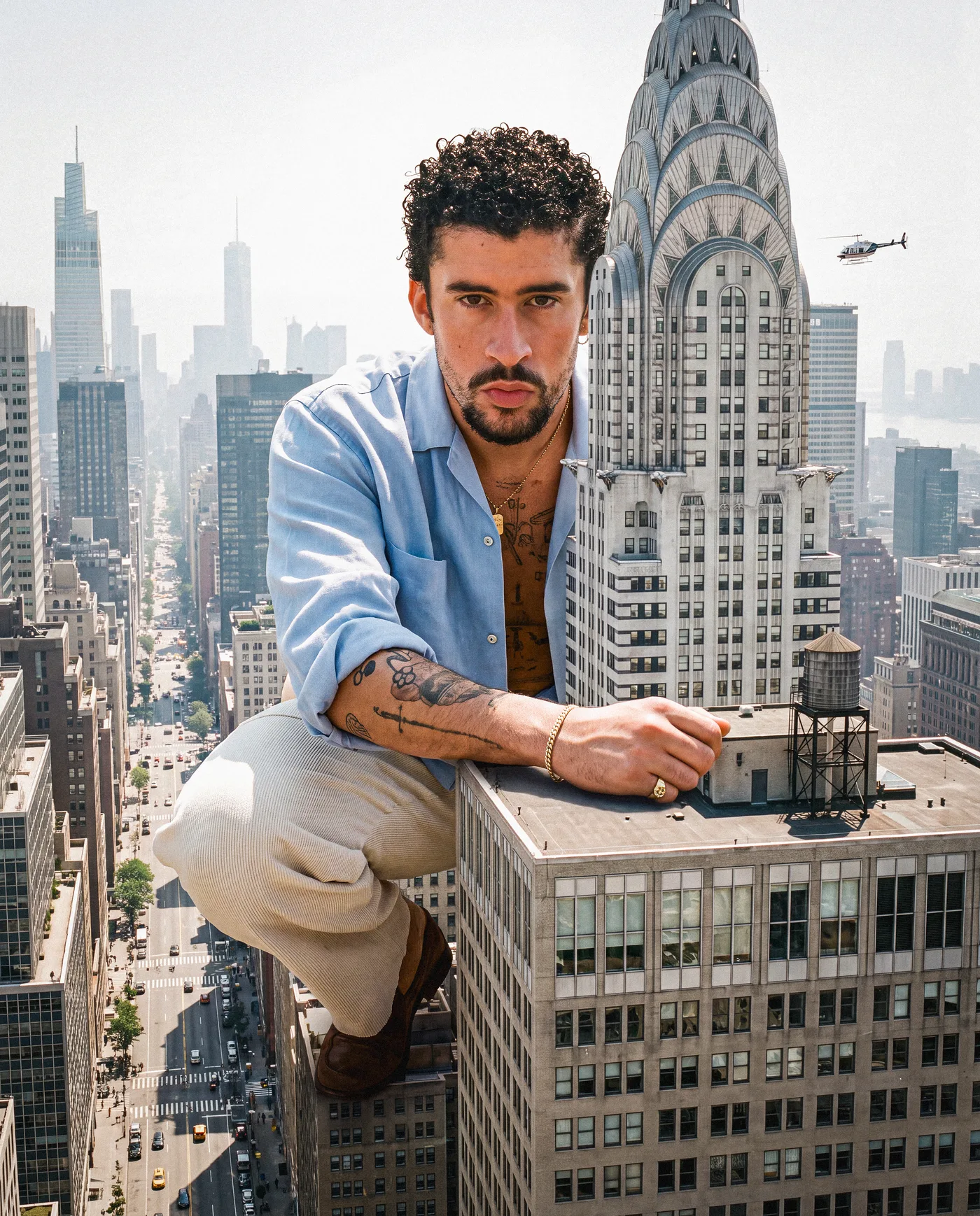 New York Giant 5