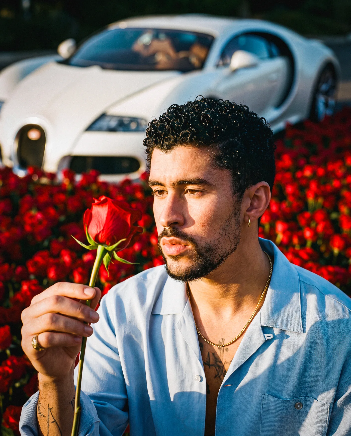 Roses 5