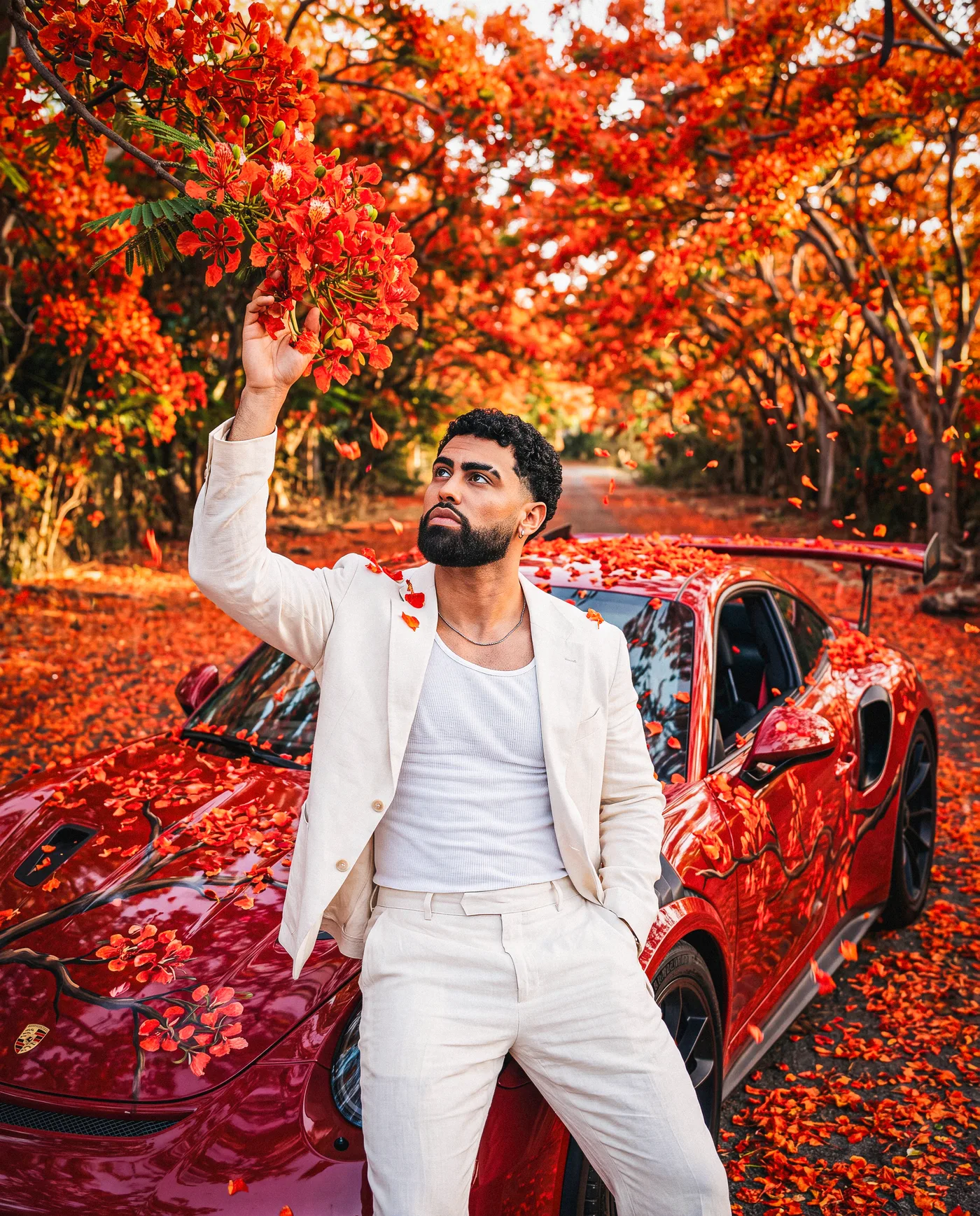 Flamboyán 5