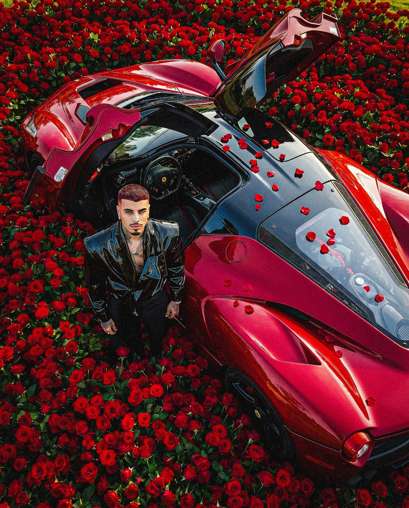 LaFerrari 5